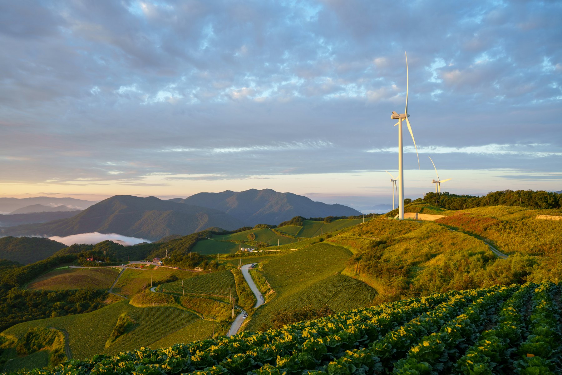 A wind turbine turning above green upland farmland at first light in County Down