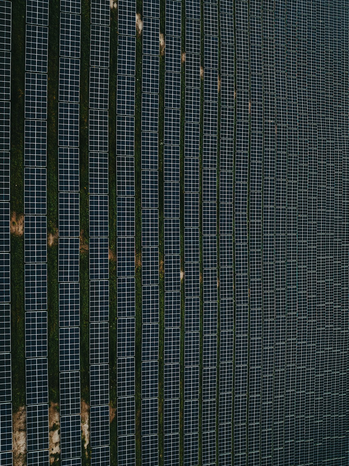 Aerial view looking straight down onto neat rows of solar panels